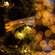 Illustration for article titled Photo Contest: Christmas Lights